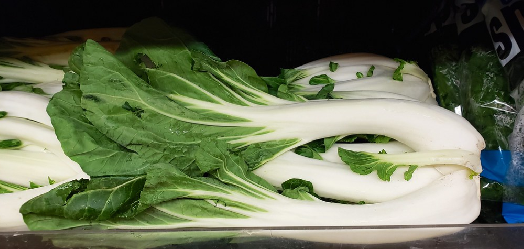 Bok Choy Storage Mistakes to Avoid for Peak Freshness
