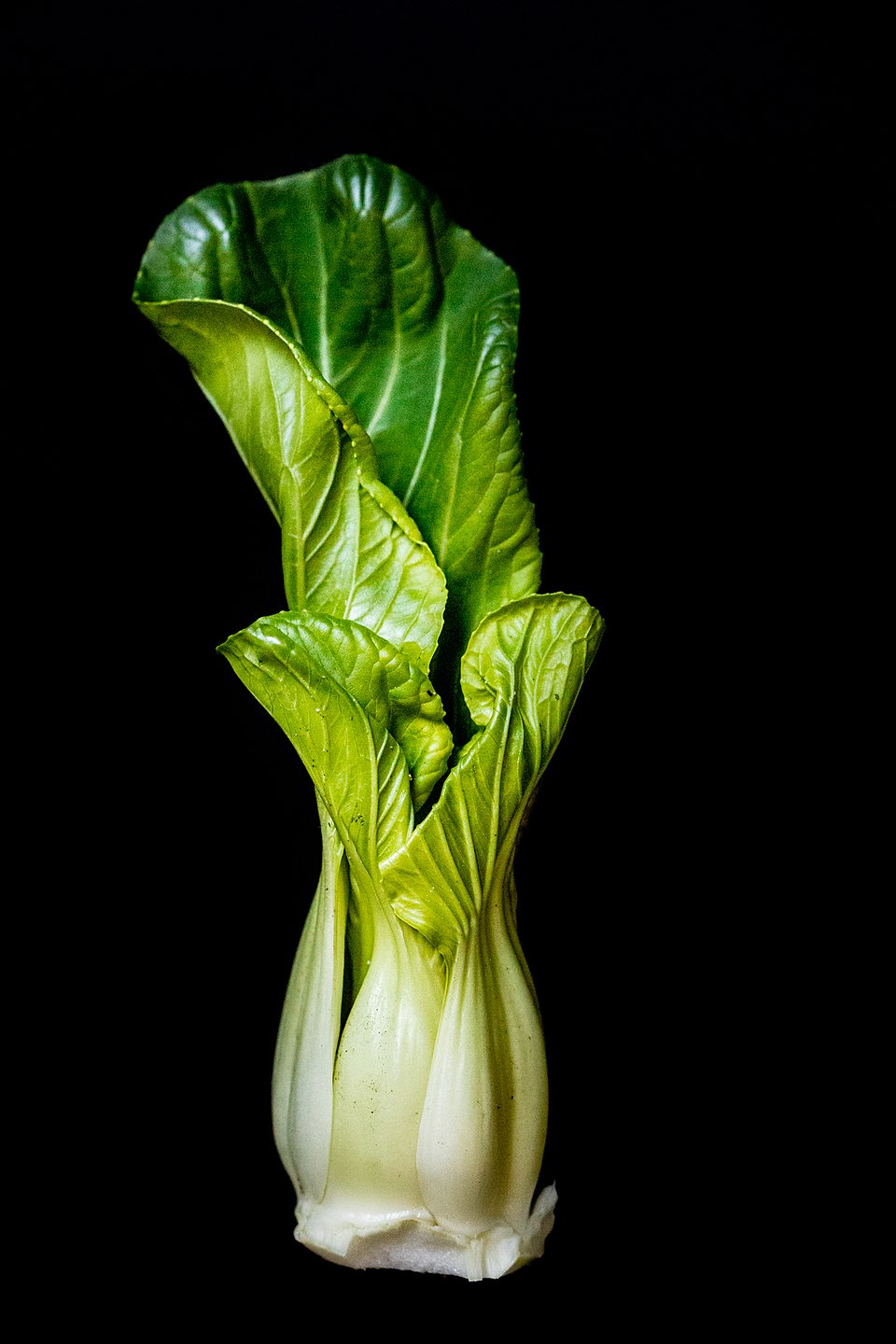 Extend Bok Choy Life: Smart Storage Tips & Methods Revealed
